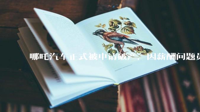 哪吒汽车正式被申请破产，因薪酬问题员工已两月没去上班，被申请破产意味着什么？员工权益还能得到保障吗？